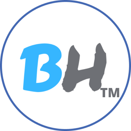 BlueHelmet Service Pvt Ltd